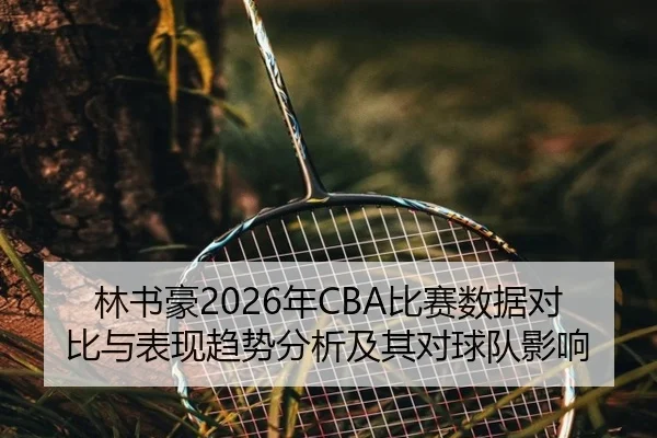 lin-shu-hao-nian-bi-sai-shu-ju-dui-bi-yu-biao-xian-qu-shi-fen-xi-ji-qi-dui-qiu-dui-ying-xiang-2-427.jpg