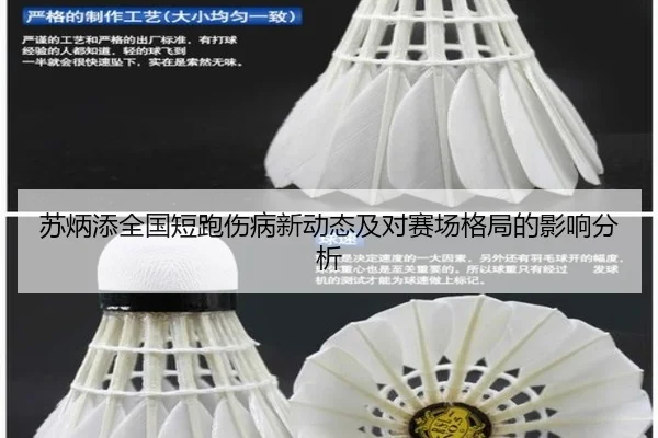 su-bing-tian-quan-guo-duan-pao-shang-bing-xin-dong-tai-ji-dui-sai-chang-ge-ju-de-ying-xiang-fen-xi-2-390.jpg